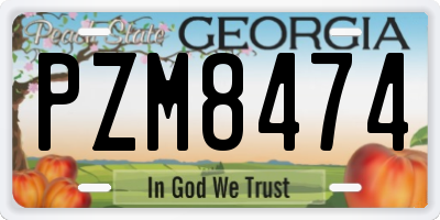 GA license plate PZM8474