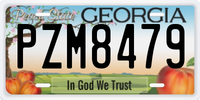 GA license plate PZM8479