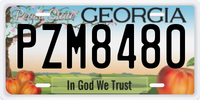 GA license plate PZM8480