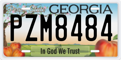 GA license plate PZM8484