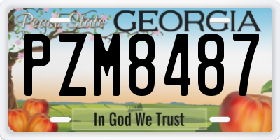 GA license plate PZM8487