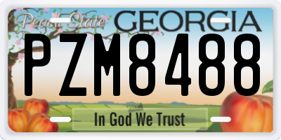 GA license plate PZM8488