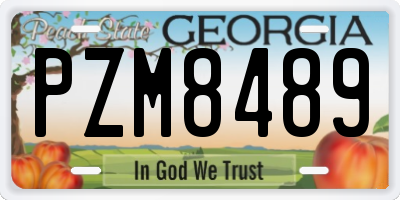 GA license plate PZM8489