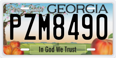 GA license plate PZM8490