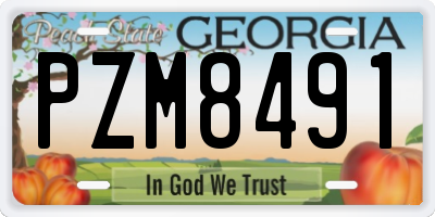 GA license plate PZM8491
