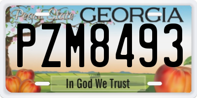 GA license plate PZM8493