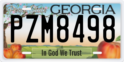 GA license plate PZM8498