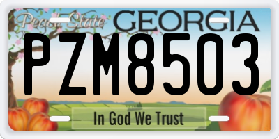 GA license plate PZM8503