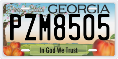 GA license plate PZM8505
