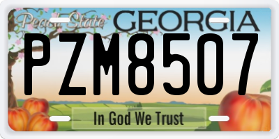 GA license plate PZM8507