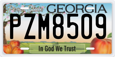 GA license plate PZM8509