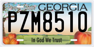 GA license plate PZM8510