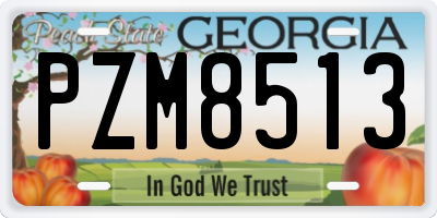 GA license plate PZM8513