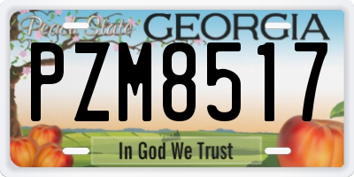 GA license plate PZM8517