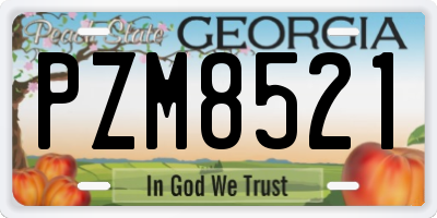 GA license plate PZM8521