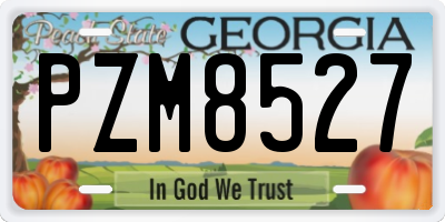 GA license plate PZM8527