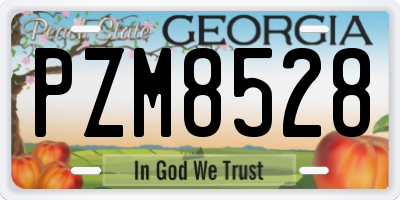 GA license plate PZM8528