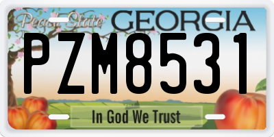GA license plate PZM8531