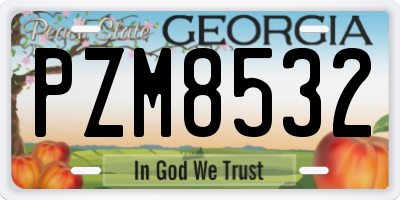 GA license plate PZM8532