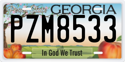 GA license plate PZM8533