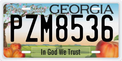 GA license plate PZM8536