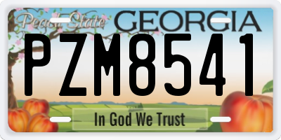 GA license plate PZM8541