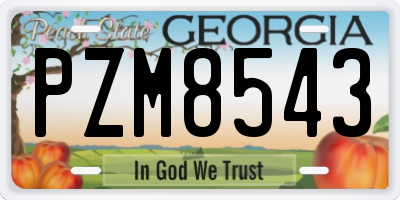 GA license plate PZM8543