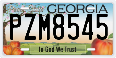 GA license plate PZM8545