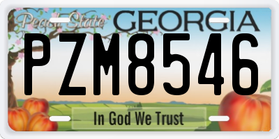 GA license plate PZM8546