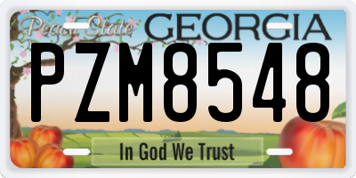 GA license plate PZM8548