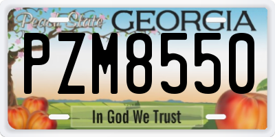 GA license plate PZM8550