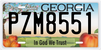 GA license plate PZM8551