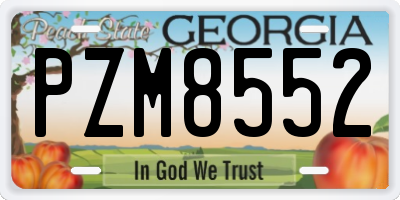 GA license plate PZM8552