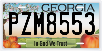 GA license plate PZM8553