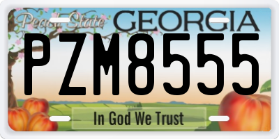 GA license plate PZM8555