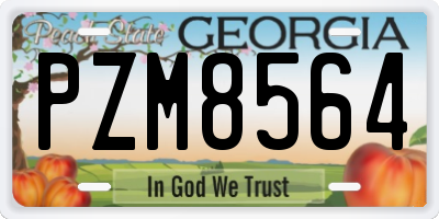 GA license plate PZM8564