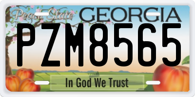 GA license plate PZM8565