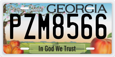 GA license plate PZM8566