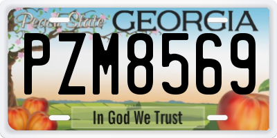 GA license plate PZM8569