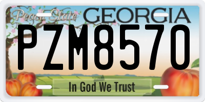 GA license plate PZM8570