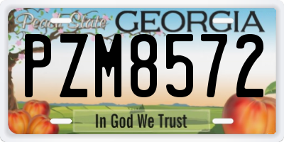 GA license plate PZM8572