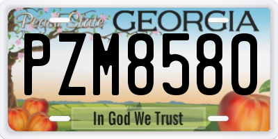 GA license plate PZM8580