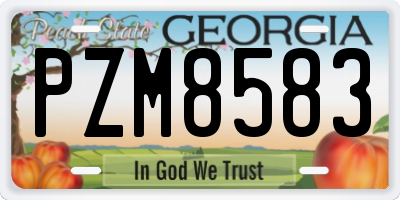 GA license plate PZM8583