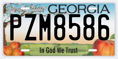 GA license plate PZM8586