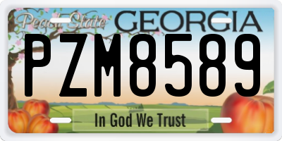 GA license plate PZM8589