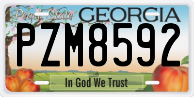GA license plate PZM8592