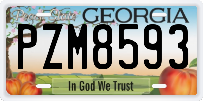 GA license plate PZM8593