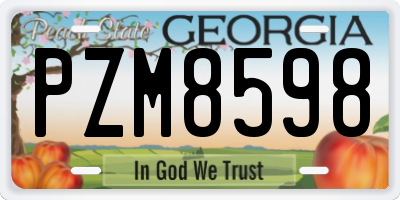 GA license plate PZM8598