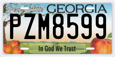 GA license plate PZM8599
