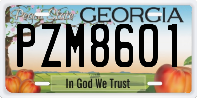 GA license plate PZM8601